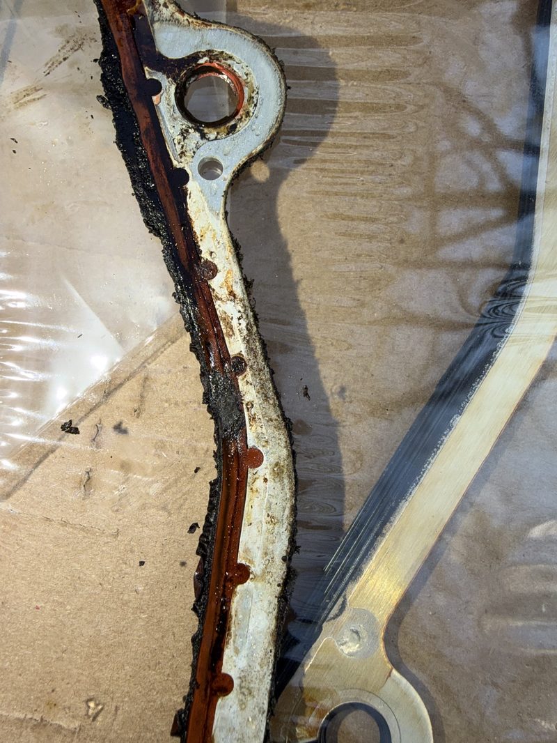 Worn timing cover gasket with old sealant